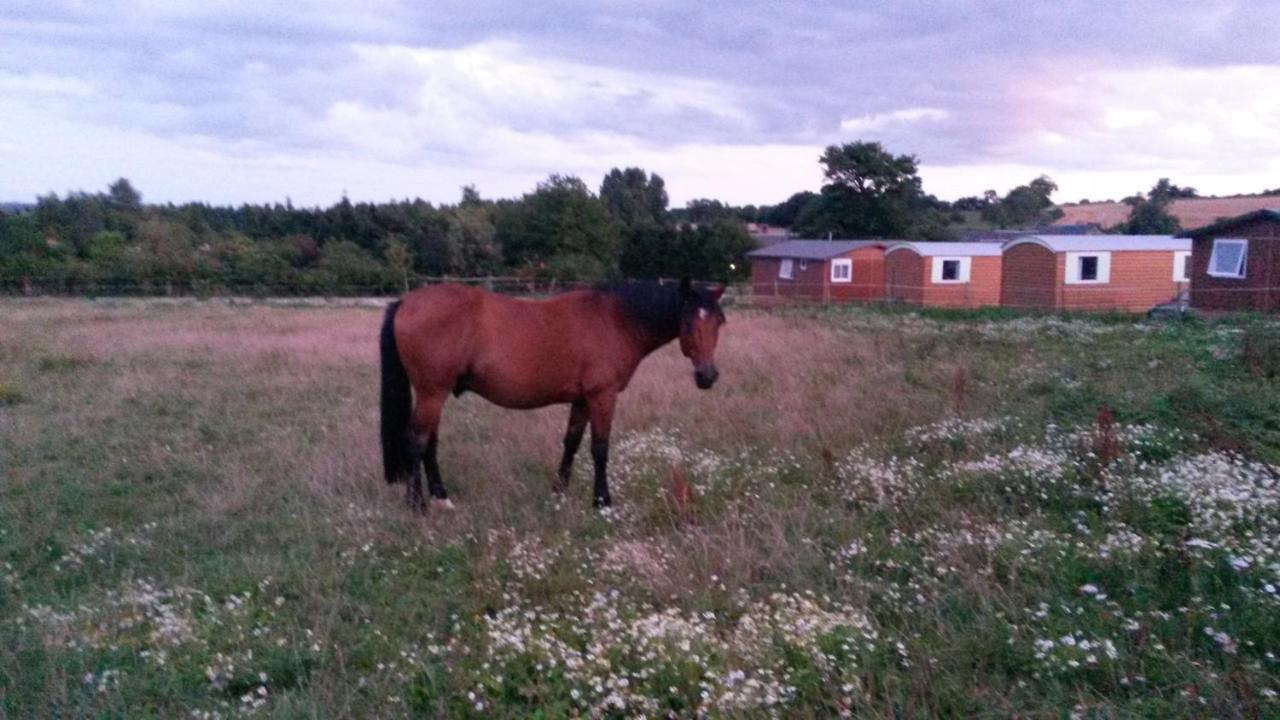 La Ferme Des Epis ξενώνας Ouffieres Εξωτερικό φωτογραφία